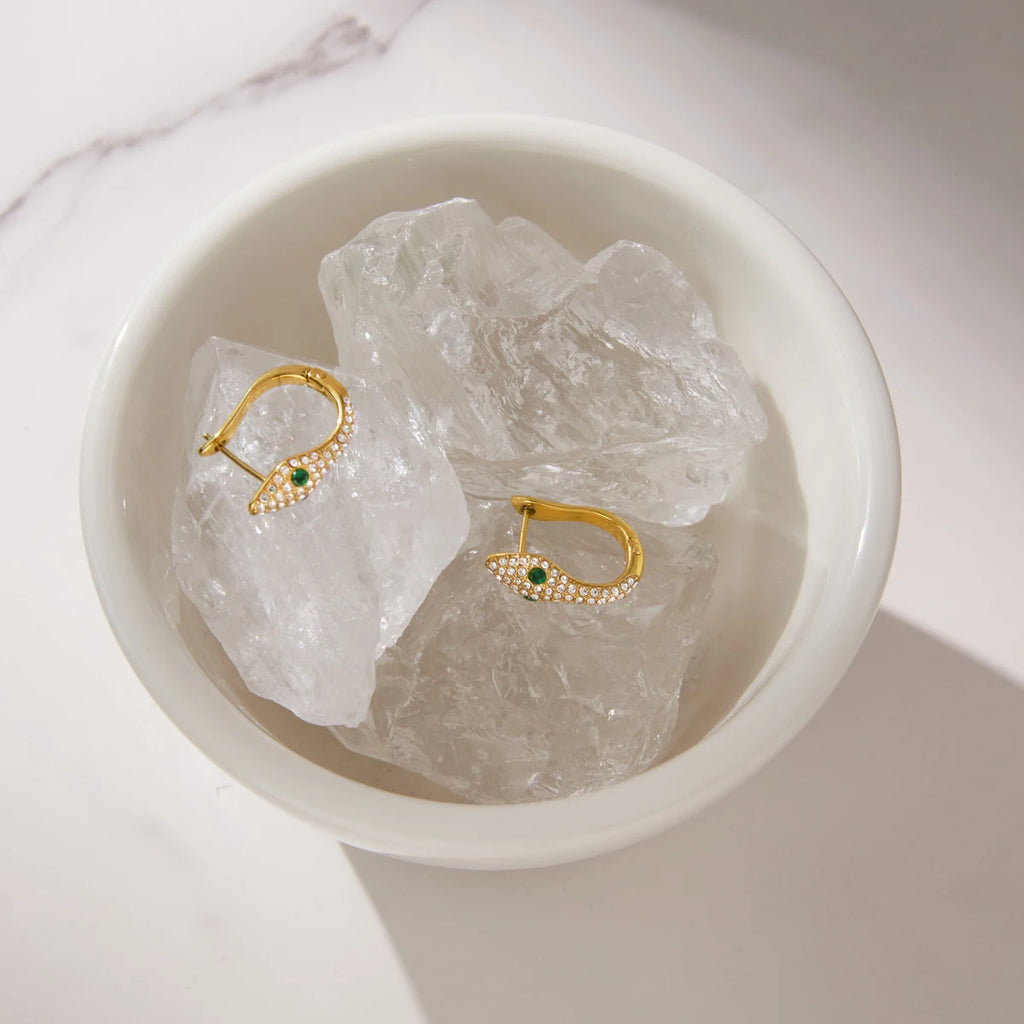 Snake Zircon Hoop Earrings